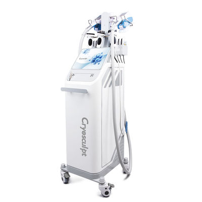 comprar 360° Cryolipolysis Fat Freezing CoolSculpting Body Slimming Máquina de perda de peso Fabricação em linha