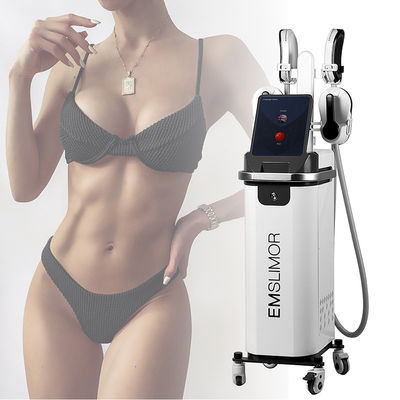 4 Mãos EMS Máquina de Esculpidação de Estimulação Muscular EMS Corpo Slim EMS Estimulador de Forma Muscular RF Máquina de Perda de Peso de Esculpidação Corporal